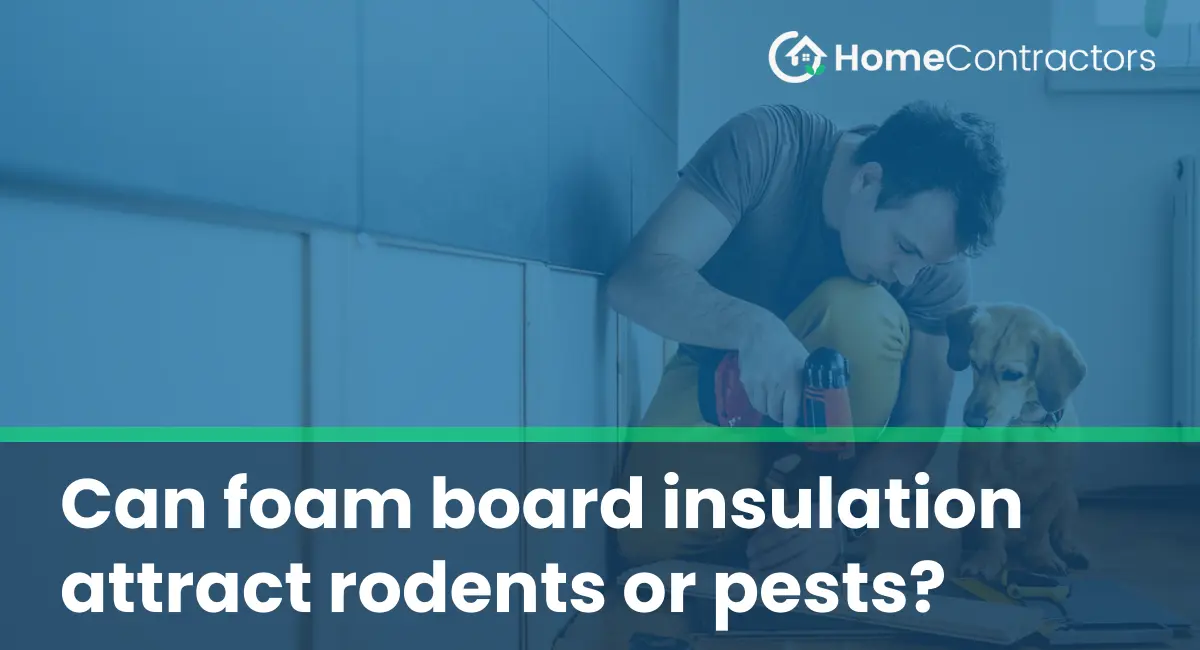Can foam board insulation attract rodents or pests?