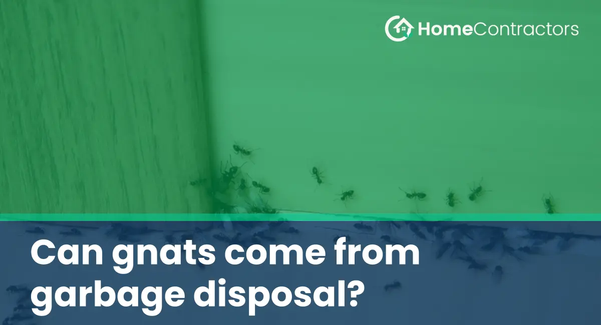 Can gnats come from garbage disposal?