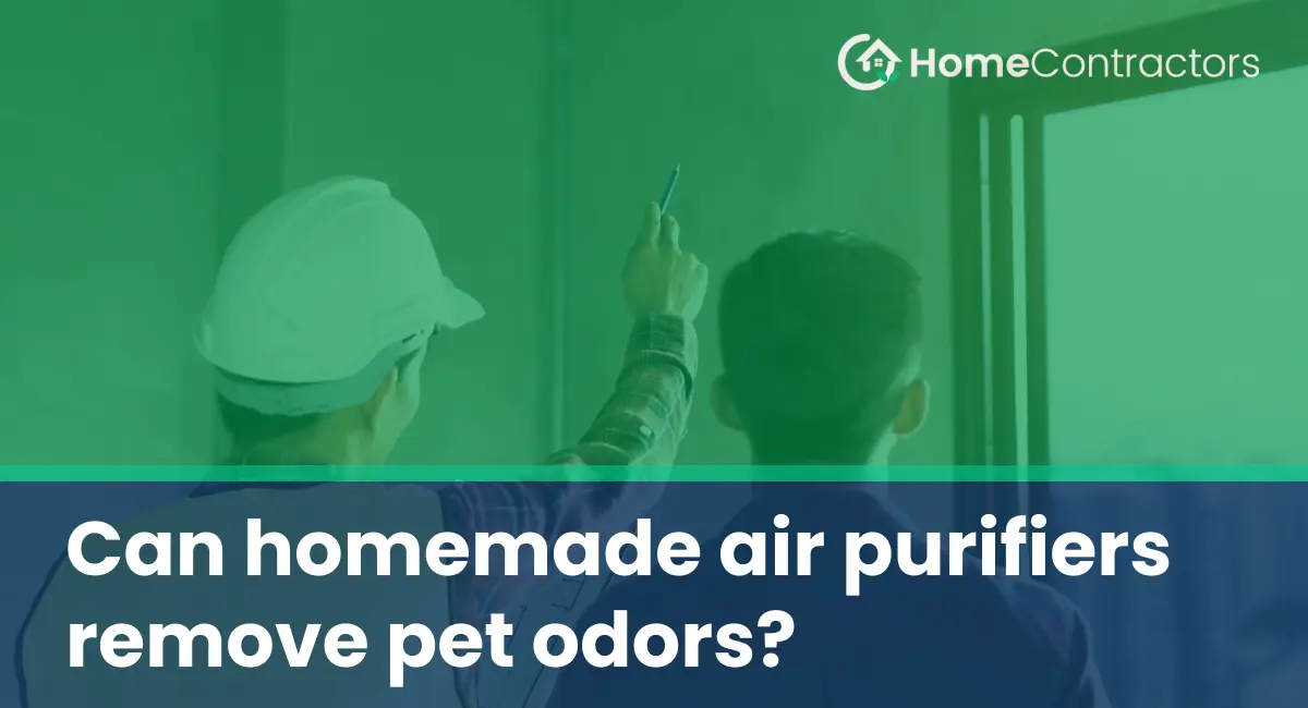 Can homemade air purifiers remove pet odors?